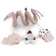 ESPIRAL DE ACTIVIDADES SEA FRIENDS ROSA
