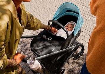 ACCESORIOS BUGABOO DRAGONFLY PLUS