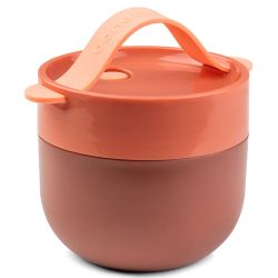 CAIXA DE ALMOÇO DE PAPAIA