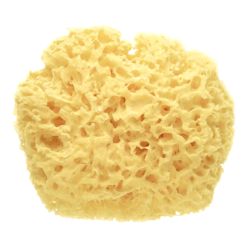 Esponja Natural Premium