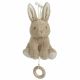 Conejito Musical Baby Bunny Little Dutch